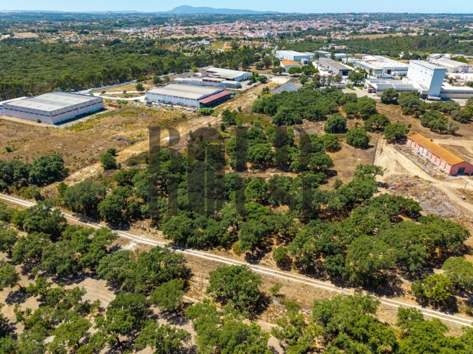 Terreno Comércio / Armazém para Venda em Vila Chã de Ourique Foto 2