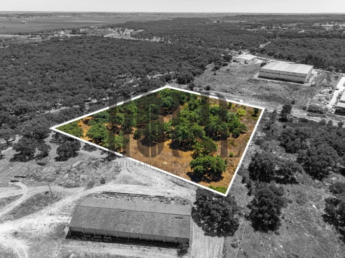 Terreno Comércio / Armazém para Venda em Vila Chã de Ourique Foto 17