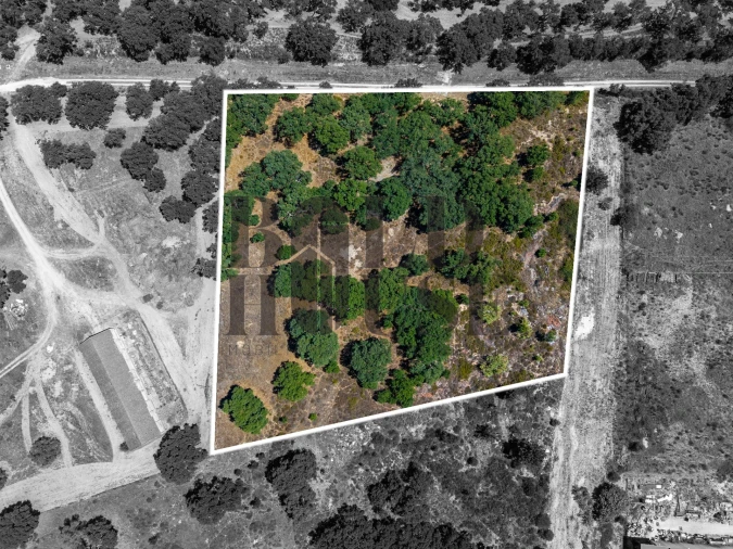 Terreno Comércio / Armazém para Venda em Vila Chã de Ourique Foto 4