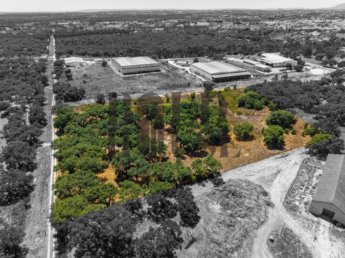 Terreno Comércio / Armazém para Venda em Vila Chã de Ourique Foto 3
