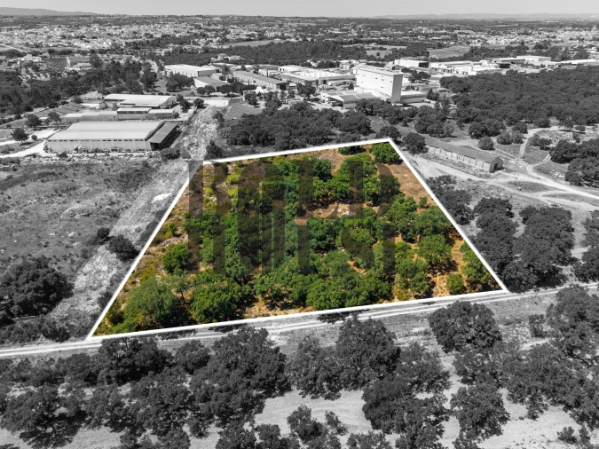 Terreno Comércio / Armazém para Venda em Vila Chã de Ourique Foto 12