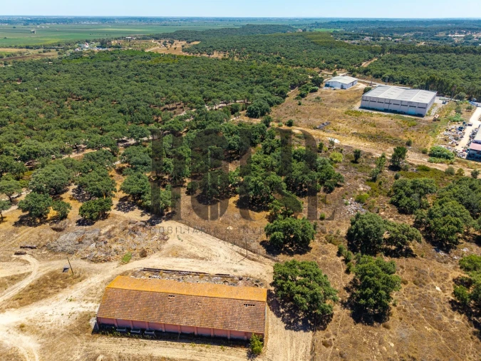 Terreno Comércio / Armazém para Venda em Vila Chã de Ourique Foto 18