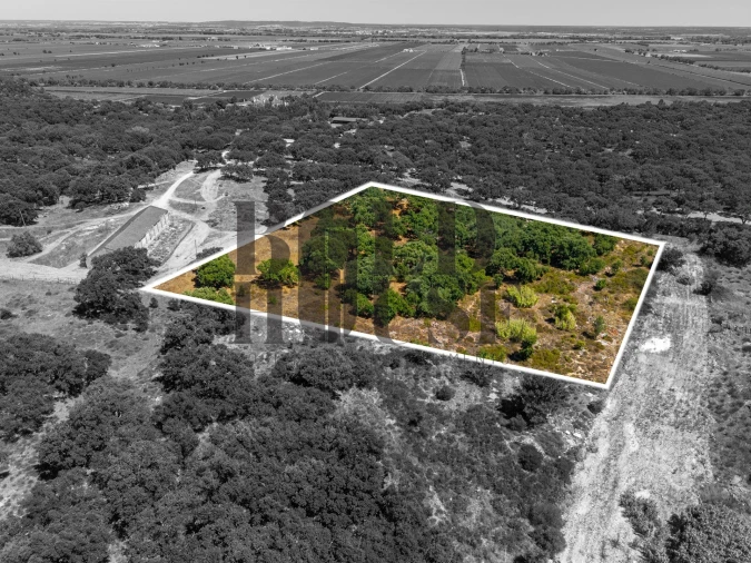 Terreno Comércio / Armazém para Venda em Vila Chã de Ourique Foto 23