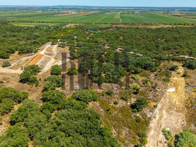 Terreno Comércio / Armazém para Venda em Vila Chã de Ourique Foto 24