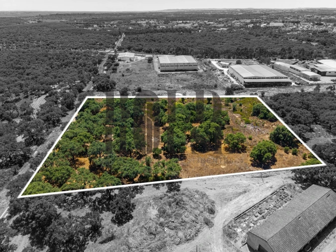 Terreno Comércio / Armazém para Venda em Vila Chã de Ourique Foto 15