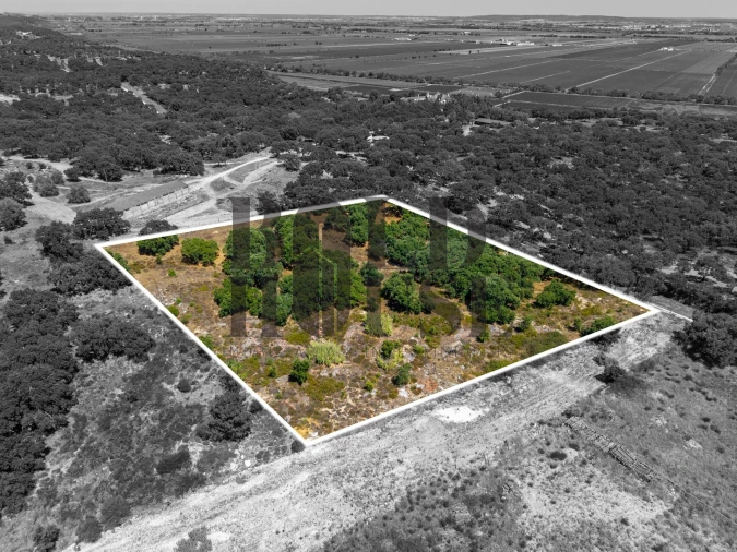Terreno Comércio / Armazém para Venda em Vila Chã de Ourique Foto 6