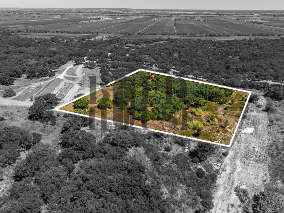 Terreno Comércio / Armazém para Venda em Vila Chã de Ourique Foto 23