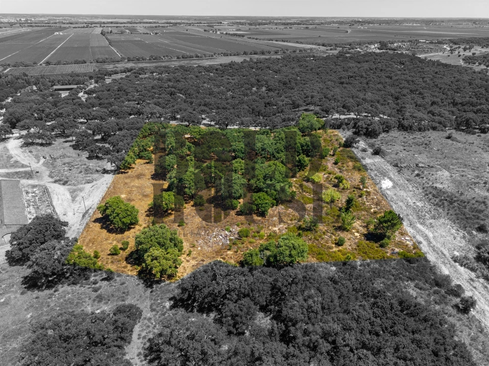 Terreno Comércio / Armazém para Venda em Vila Chã de Ourique Foto 21