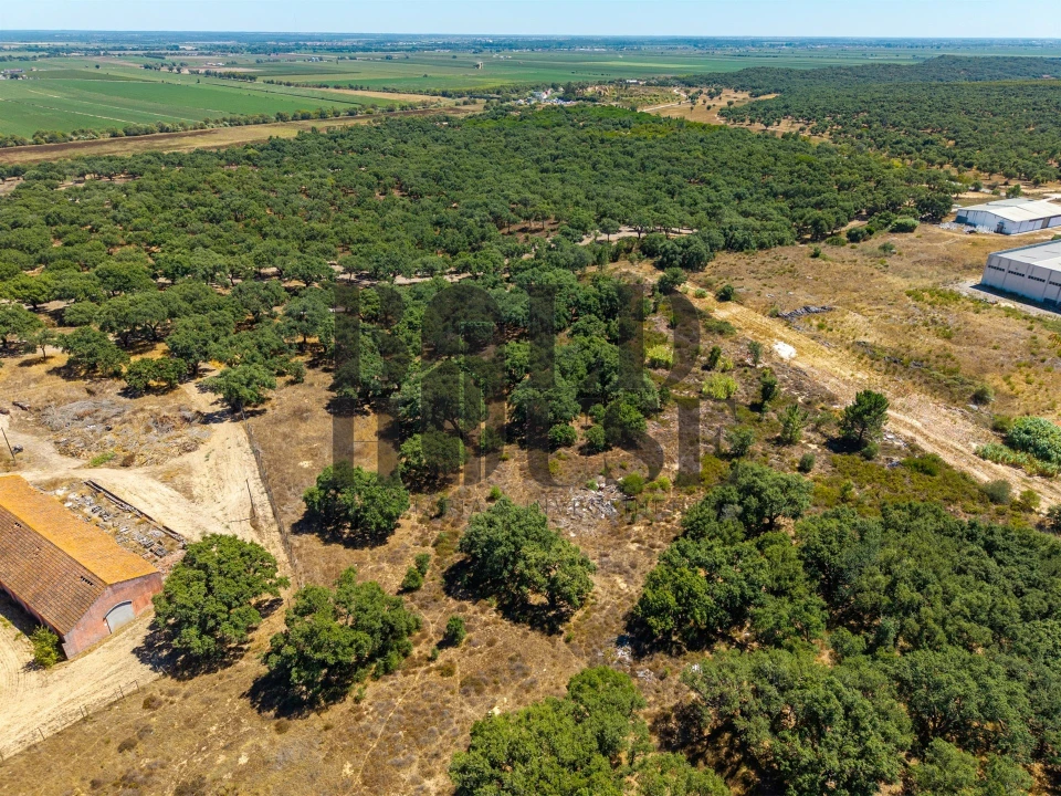 Terreno Comércio / Armazém para Venda em Vila Chã de Ourique Foto 20