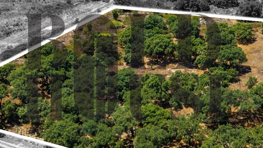 Terreno Comércio / Armazém para Venda em Vila Chã de Ourique