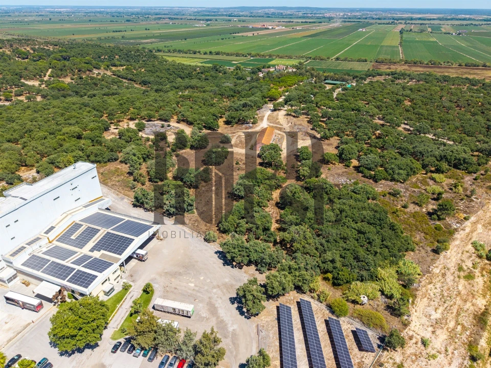 Terreno Comércio / Armazém para Venda em Vila Chã de Ourique Foto 44