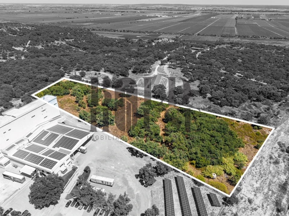 Terreno Comércio / Armazém para Venda em Vila Chã de Ourique Foto 19