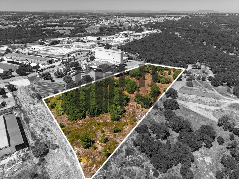 Terreno Comércio / Armazém para Venda em Vila Chã de Ourique Foto 27