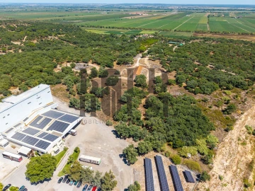 Terreno Comércio / Armazém para Venda em Vila Chã de Ourique