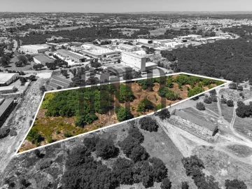 Terreno Comércio / Armazém para Venda em Vila Chã de Ourique