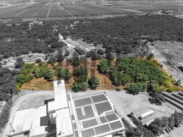 Terreno Comércio / Armazém para Venda em Vila Chã de Ourique