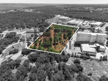 Terreno Comércio / Armazém para Venda em Vila Chã de Ourique