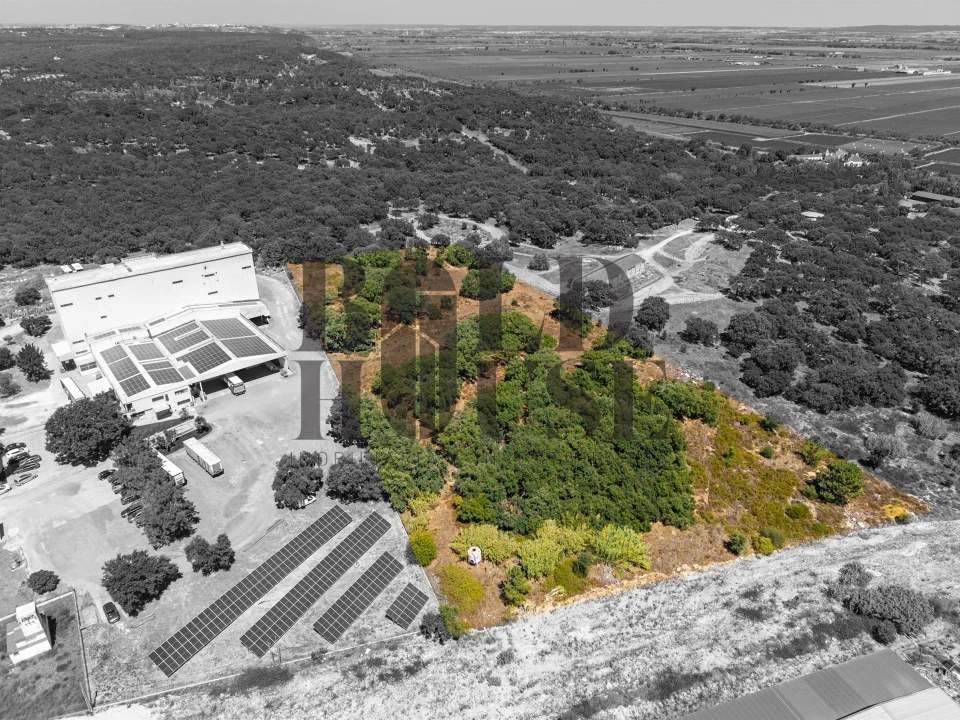 Terreno Comércio / Armazém para Venda em Vila Chã de Ourique Foto 45