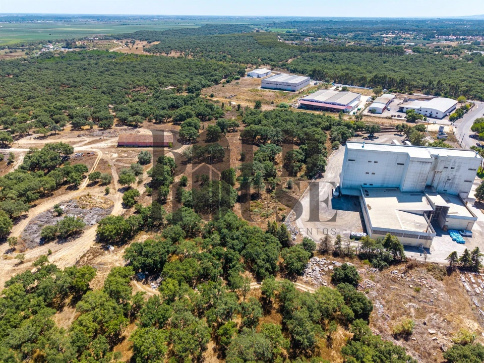 Terreno Comércio / Armazém para Venda em Vila Chã de Ourique Foto 14