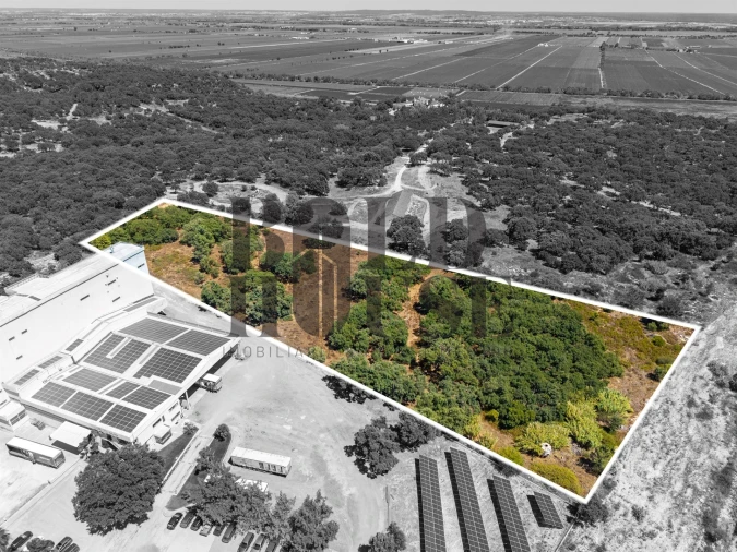 Terreno Comércio / Armazém para Venda em Vila Chã de Ourique Foto 19