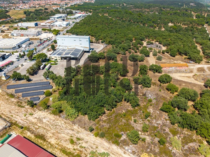 Terreno Comércio / Armazém para Venda em Vila Chã de Ourique Foto 26