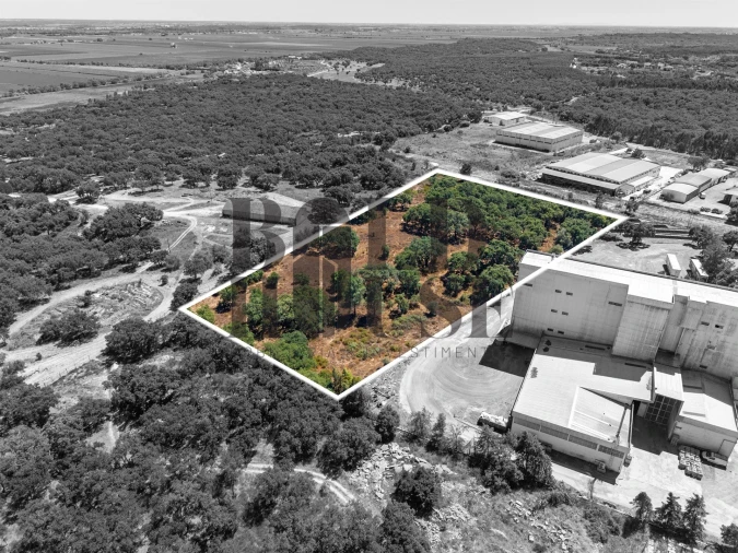 Terreno Comércio / Armazém para Venda em Vila Chã de Ourique Foto 39