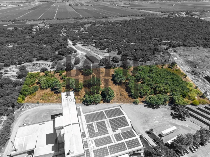Terreno Comércio / Armazém para Venda em Vila Chã de Ourique Foto 41