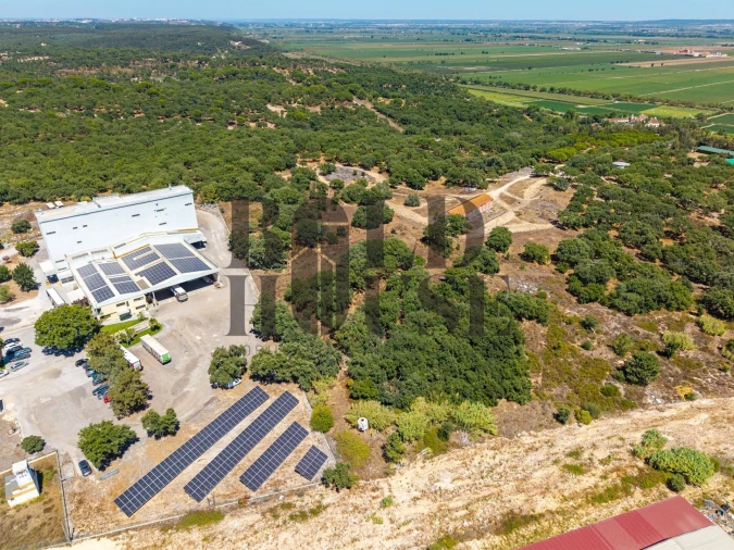 Terreno Comércio / Armazém para Venda em Vila Chã de Ourique Foto 22