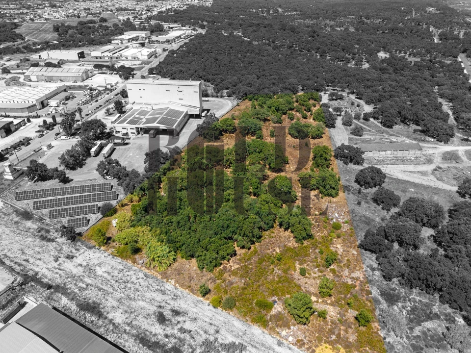 Terreno Comércio / Armazém para Venda em Vila Chã de Ourique Foto 25