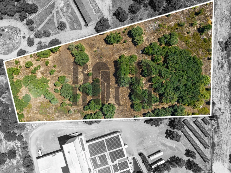 Terreno Comércio / Armazém para Venda em Vila Chã de Ourique Foto 47