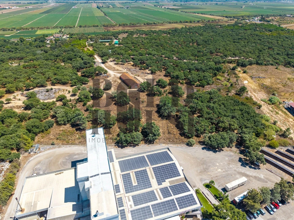Terreno Comércio / Armazém para Venda em Vila Chã de Ourique Foto 42