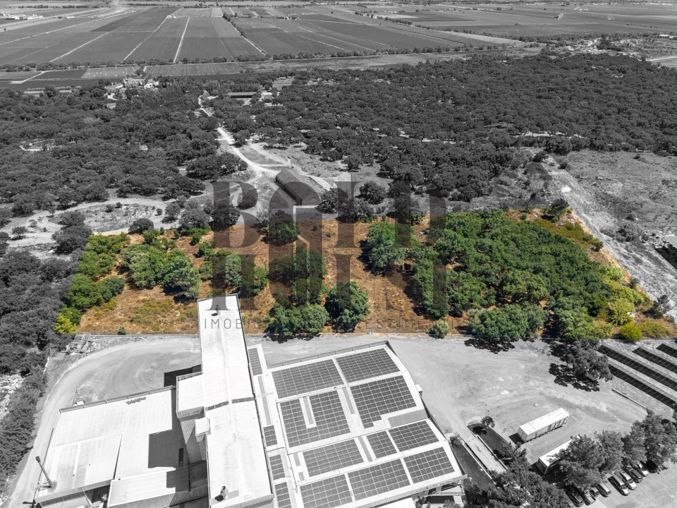 Terreno Comércio / Armazém para Venda em Vila Chã de Ourique Foto 41