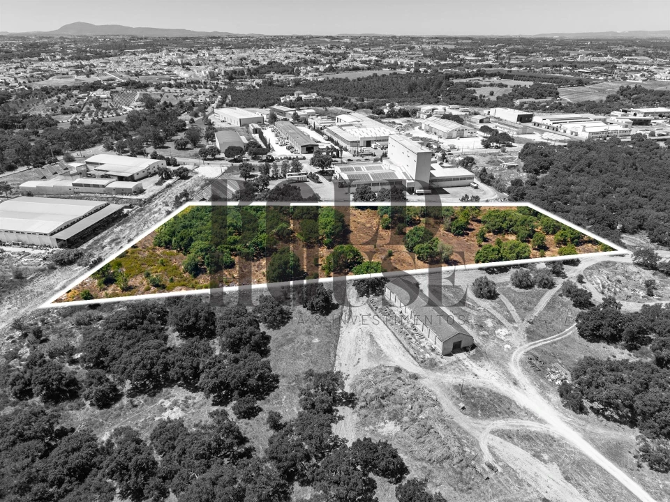 Terreno Comércio / Armazém para Venda em Vila Chã de Ourique Foto 31