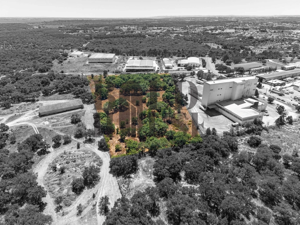 Terreno Comércio / Armazém para Venda em Vila Chã de Ourique Foto 11