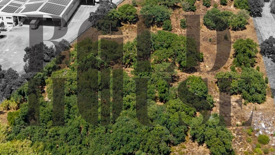 Terreno Comércio / Armazém para Venda em Vila Chã de Ourique