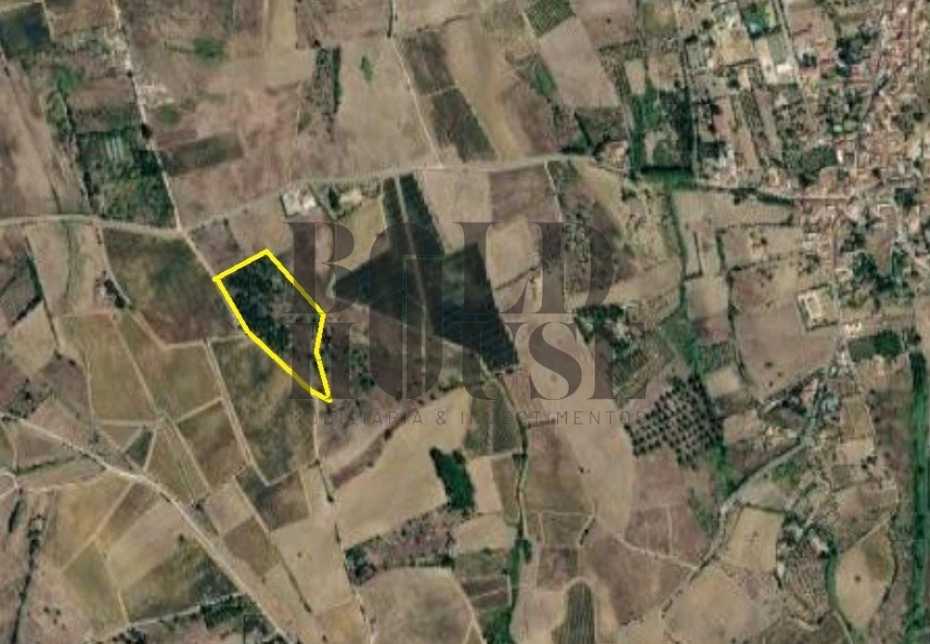 Terreno Agricola ou Rústico para Venda em Ereira e Lapa Foto 1