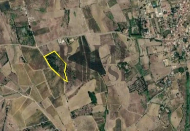 Terreno Agricola ou Rústico para Venda em Ereira e Lapa