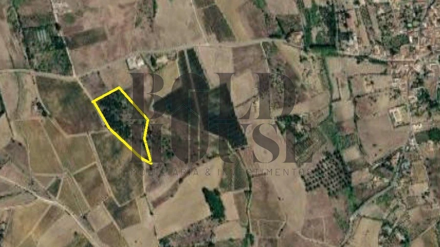 Terreno Agricola ou Rústico para Venda em Ereira e Lapa