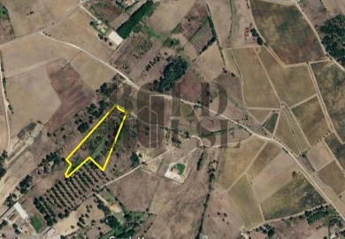 Terreno Agricola ou Rústico para Venda em Ereira e Lapa
