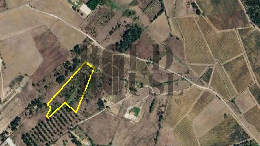 Terreno Agricola ou Rústico para Venda em Ereira e Lapa