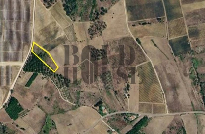 Terreno Agricola ou Rústico para Venda em Ereira e Lapa