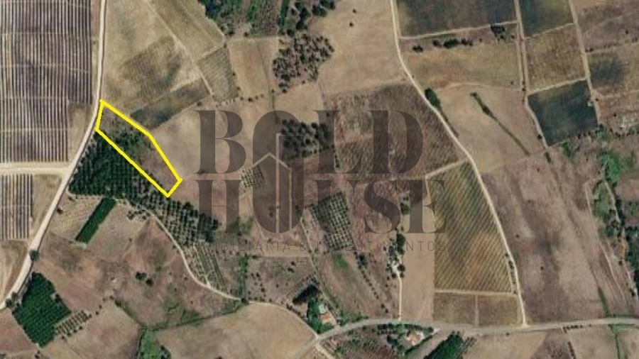 Terreno Agricola ou Rústico para Venda em Ereira e Lapa