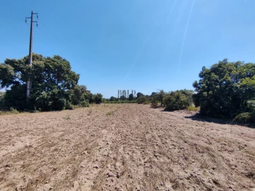 Terreno Agricola ou Rústico para Venda em Pontevel