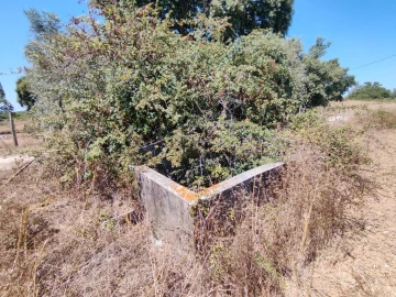 Terreno Agricola ou Rústico para Venda em Pontevel