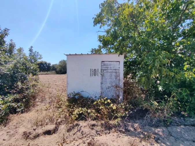 Terreno Agricola ou Rústico para Venda em Pontevel Foto 10