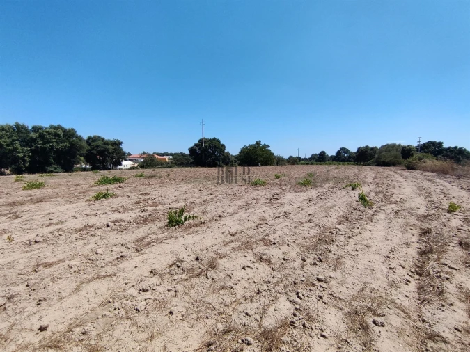 Terreno Agricola ou Rústico para Venda em Pontevel Foto 12
