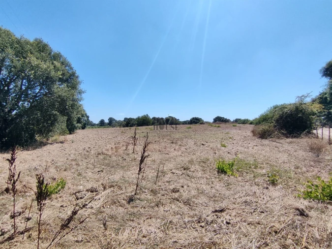 Terreno Agricola ou Rústico para Venda em Pontevel Foto 14
