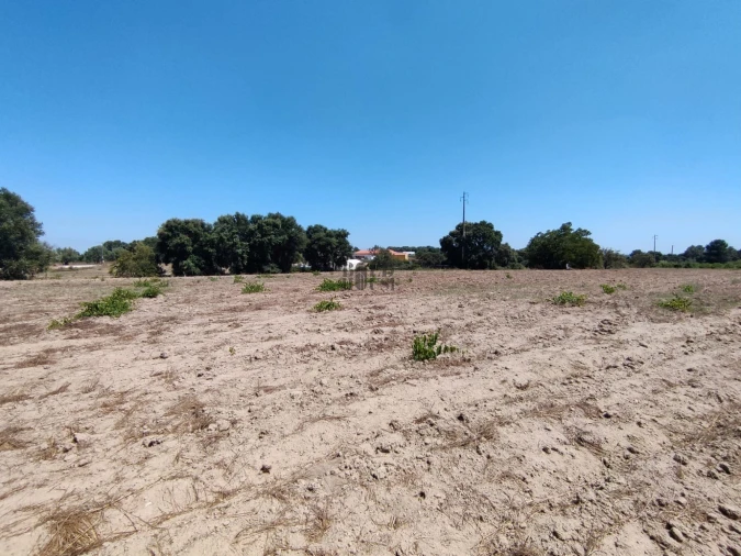 Terreno Agricola ou Rústico para Venda em Pontevel Foto 11