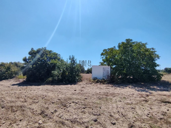 Terreno Agricola ou Rústico para Venda em Pontevel Foto 9