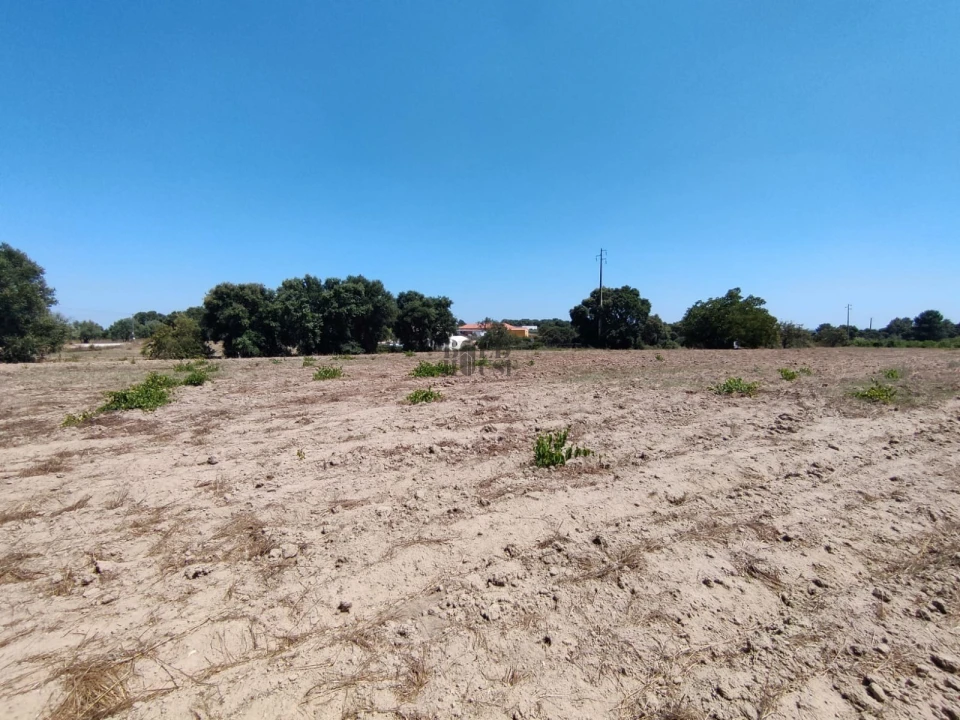 Terreno Agricola ou Rústico para Venda em Pontevel Foto 11